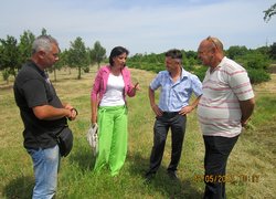 Розсадник декоративних і лісових культур в урочищі ,,Дальницький ліс,, Великодолинського ЛГ